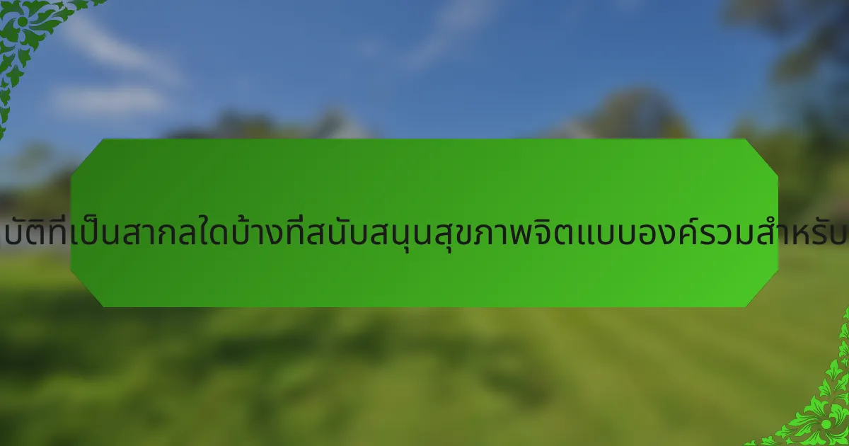 แนวทางปฏิบัติที่เป็นสากลใดบ้างที่สนับสนุนสุขภาพจิตแบบองค์รวมสำหรับครอบครัว?