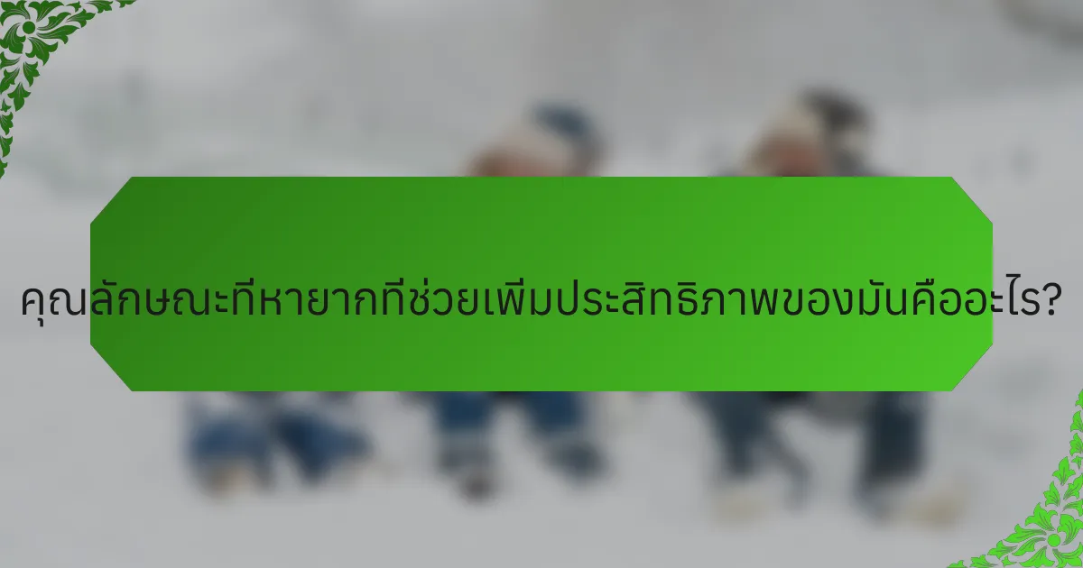 คุณลักษณะที่หายากที่ช่วยเพิ่มประสิทธิภาพของมันคืออะไร?